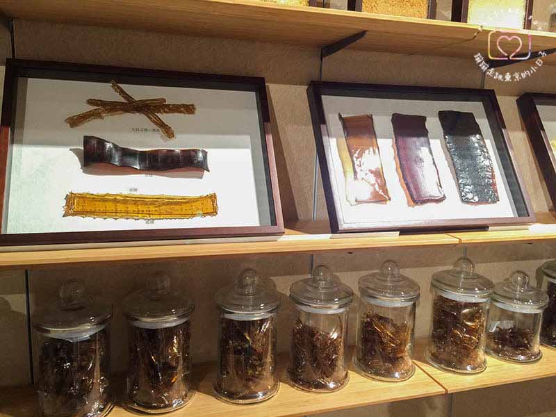 PIGMENT TOKYO：隈研吾打造的夢幻畫材店