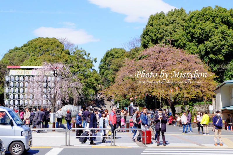 東京下町漫步賞櫻：根津神社、谷中靈園、谷中銀座、日暮里妖怪大福