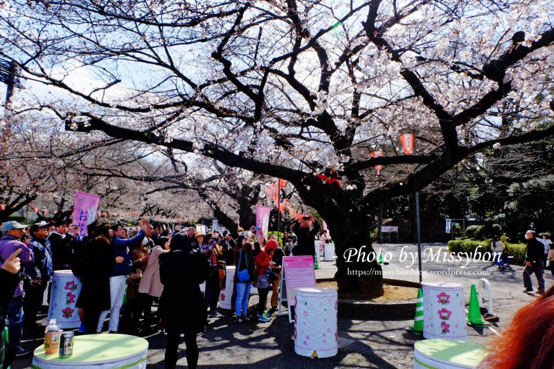 東京下町漫步賞櫻：根津神社、谷中靈園、谷中銀座、日暮里妖怪大福