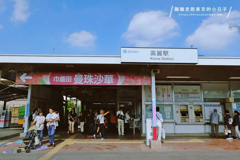 東京近郊彼岸花景點:埼玉高麗站
