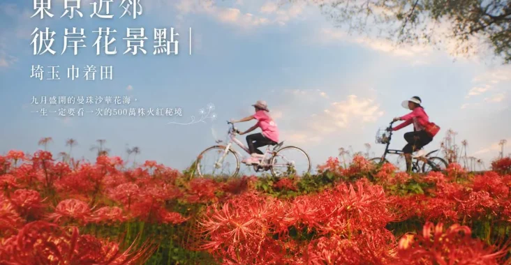 東京近郊彼岸花景點:埼玉巾着田九月盛開的500萬株曼珠沙華
