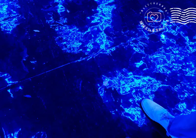 冬季聖誕燈飾「青の洞窟 SHIBUYA」活動會場