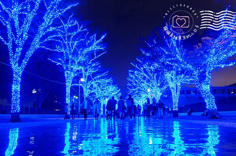 冬季聖誕燈飾「青の洞窟 SHIBUYA」活動會場