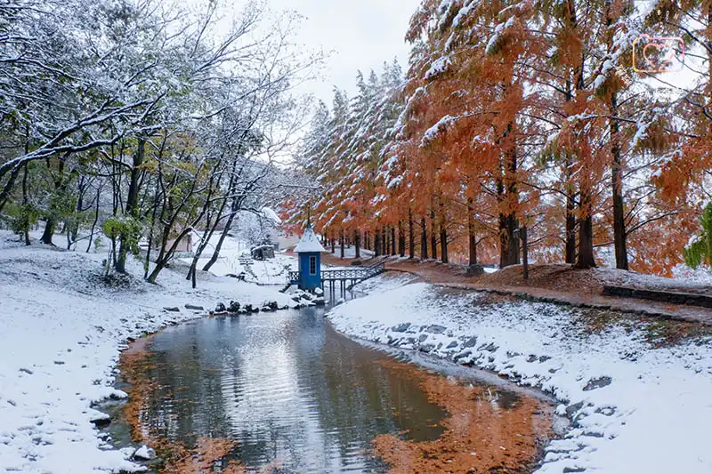 琦玉嚕嚕米公園 (あけぼの子どもの森公園)