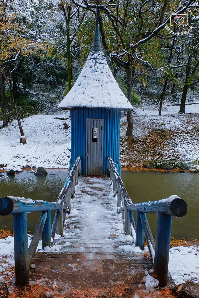 琦玉嚕嚕米公園 (あけぼの子どもの森公園)