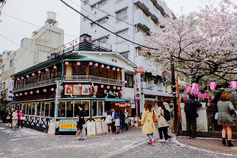 2024東京賞櫻景點 - 目黑區必訪的花見勝地，目黑川櫻花美景盡收眼底