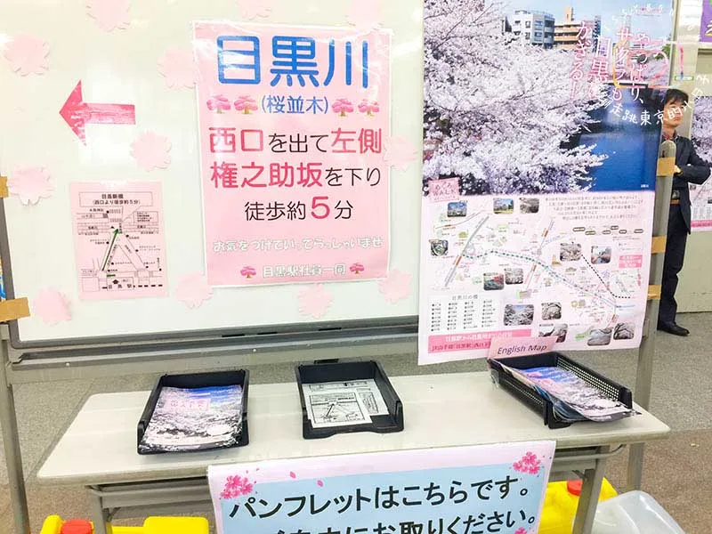 2024東京賞櫻景點 - 目黑區必訪的花見勝地，目黑川櫻花美景盡收眼底