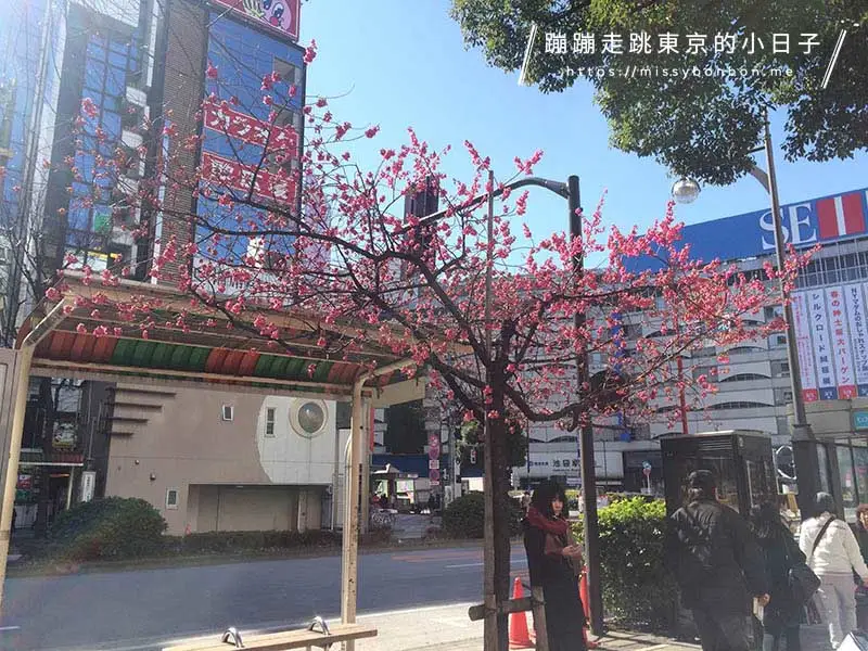池袋