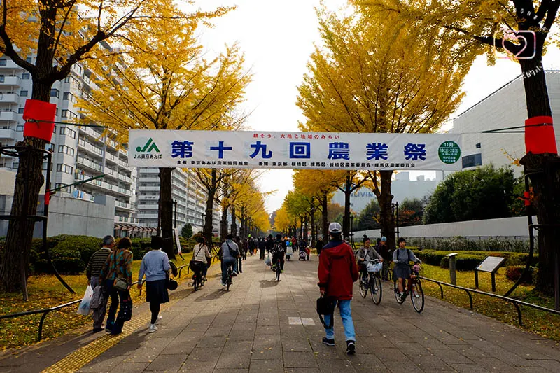 光之丘公園農業祭