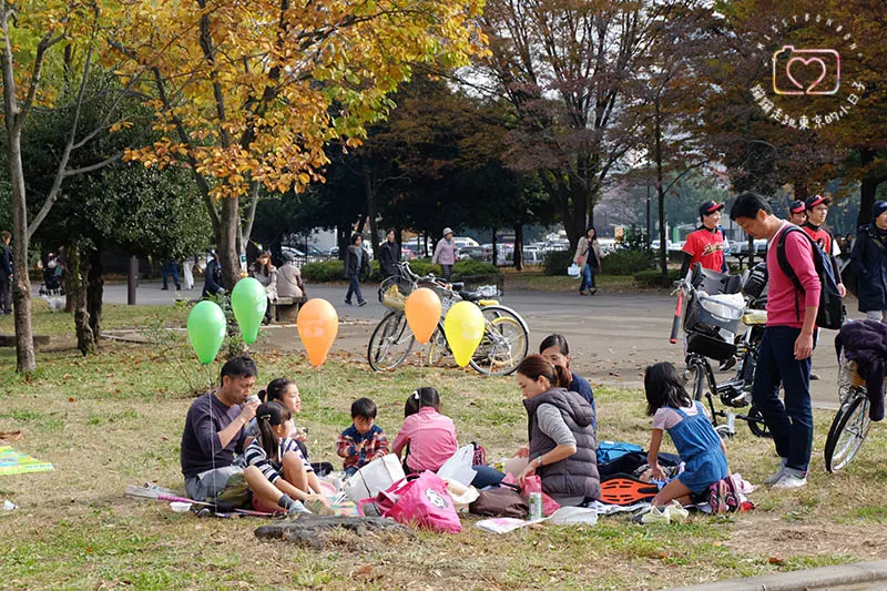 銀杏．光之丘公園之秋