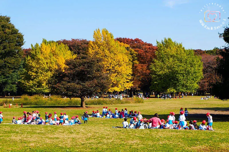 銀杏．光之丘公園之秋