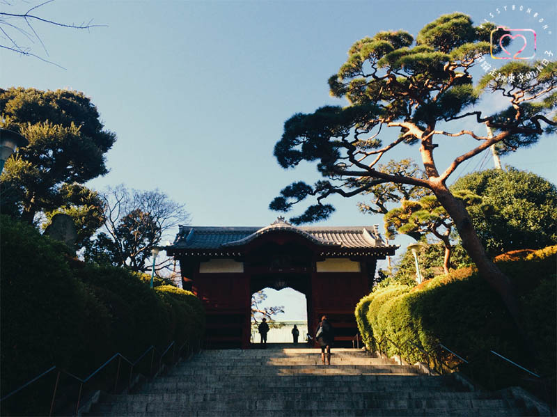 東京・生活隨筆 - 生活在東京。一年的心情寫真