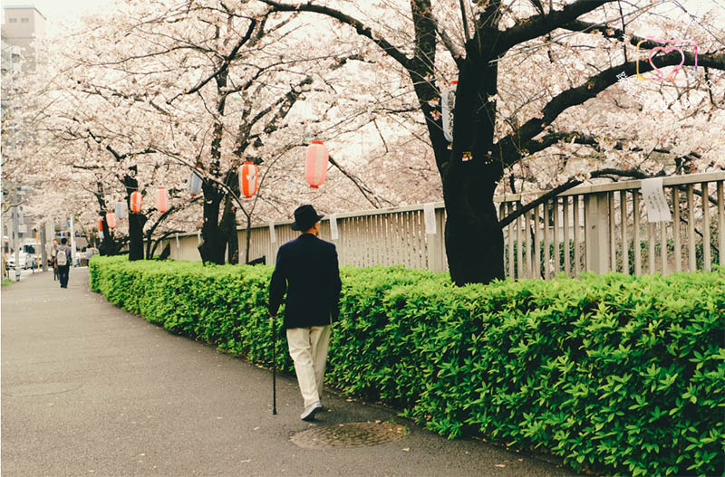 東京・生活隨筆 - 生活在東京。一年的心情寫真