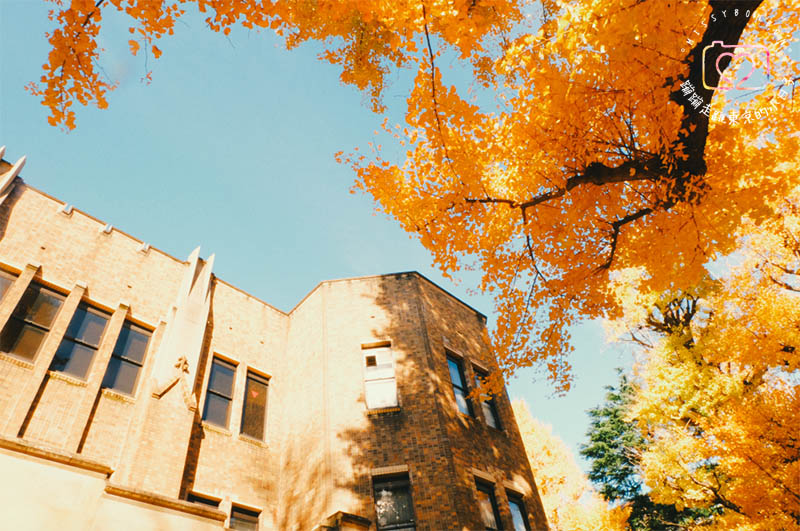 東京・生活隨筆 - 生活在東京。一年的心情寫真