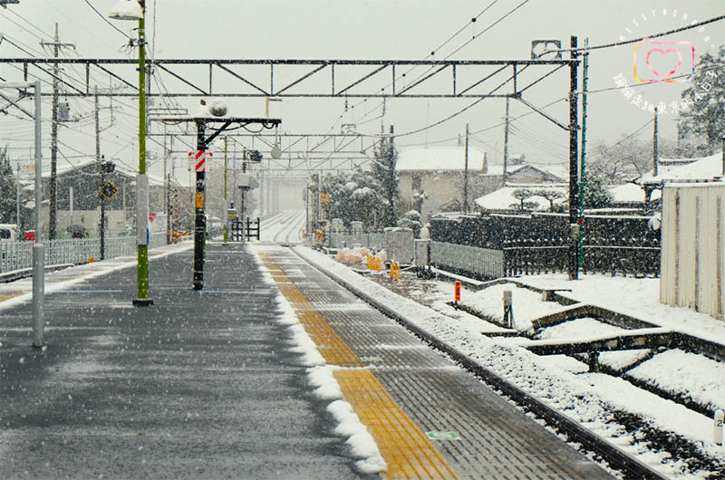 東京・生活隨筆 - 生活在東京。一年的心情寫真