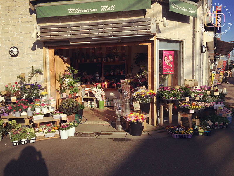東京・生活隨筆 - 生活在東京。一年的心情寫真
