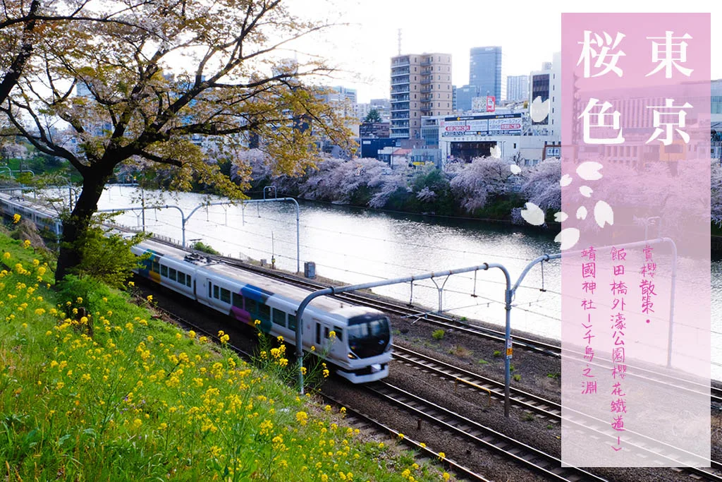 2025東京賞櫻景點 - 探索飯田橋外濠公園櫻花鐵道，遊覽靖國神社與千鳥之淵的絕美櫻花盛景