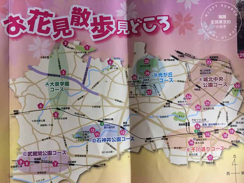 東京賞櫻景點 - 石神井川沿岸綿延櫻花並木,漫步於櫻花隧道中