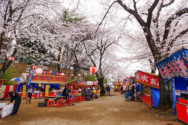 東京賞櫻景點 - 石神井川沿岸綿延櫻花並木,漫步於櫻花隧道中