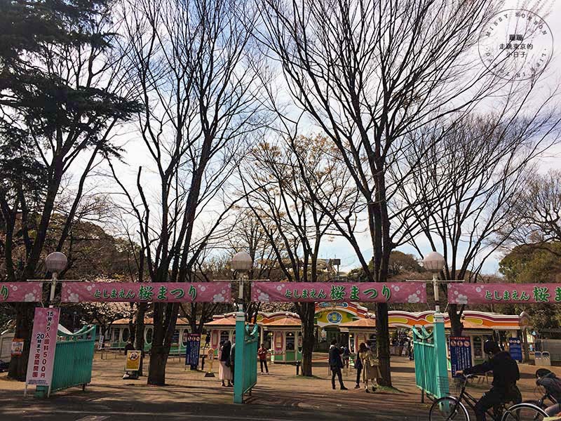 東京賞櫻景點 - 石神井川沿岸綿延櫻花並木,漫步於櫻花隧道中