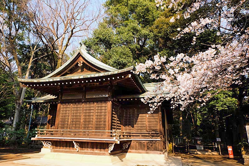 東京賞櫻景點 - 石神井川沿岸綿延櫻花並木,漫步於櫻花隧道中