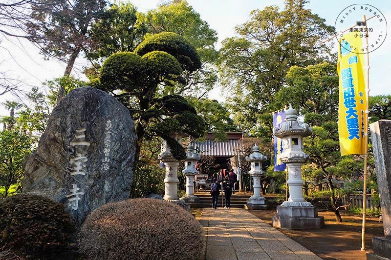東京賞櫻景點 - 石神井川沿岸綿延櫻花並木,漫步於櫻花隧道中