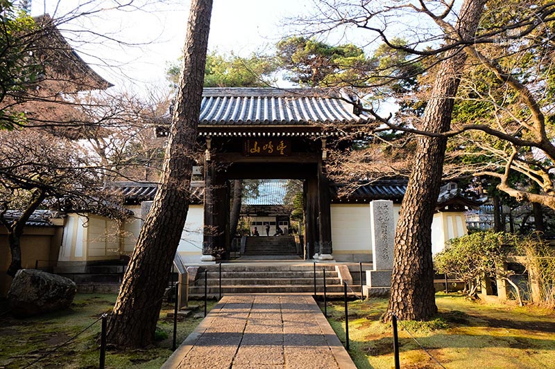 東京賞櫻景點 - 石神井川沿岸綿延櫻花並木,漫步於櫻花隧道中