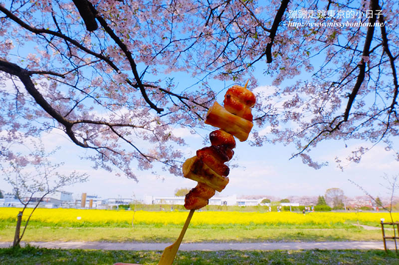 2025關東賞櫻景點 - 櫻花盛放！埼玉幸手權現堂櫻堤花見，春日必遊的浪漫櫻花勝地