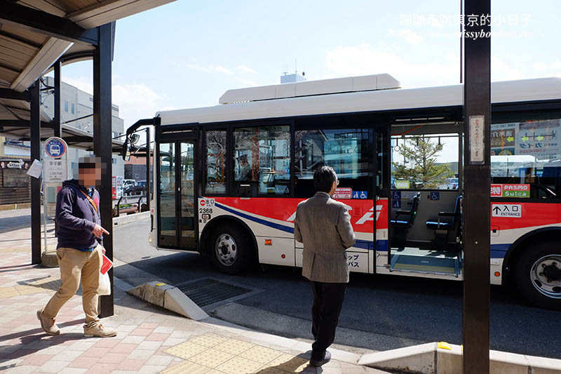 2025關東賞櫻景點 - 櫻花盛放！埼玉幸手權現堂櫻堤花見，春日必遊的浪漫櫻花勝地