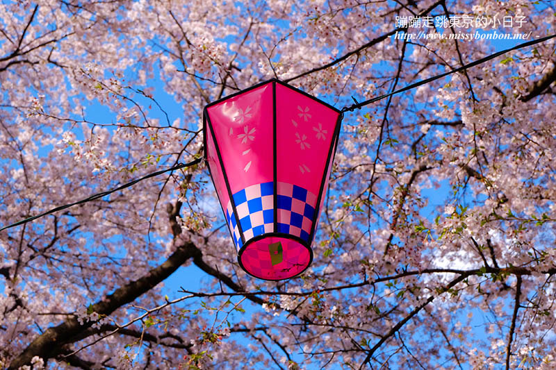 2025關東賞櫻景點 - 櫻花盛放！埼玉幸手權現堂櫻堤花見，春日必遊的浪漫櫻花勝地