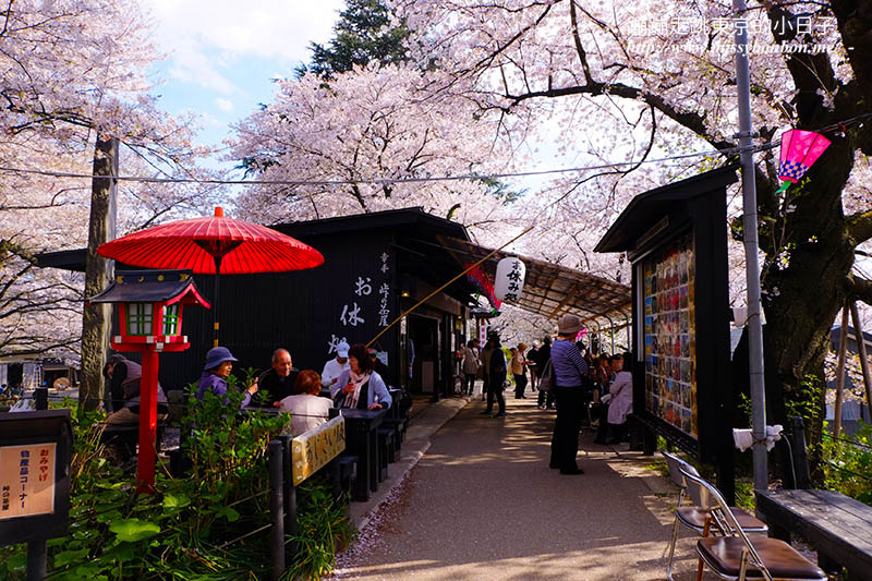 2025關東賞櫻景點 - 櫻花盛放！埼玉幸手權現堂櫻堤花見，春日必遊的浪漫櫻花勝地