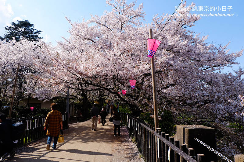 2025關東賞櫻景點 - 櫻花盛放！埼玉幸手權現堂櫻堤花見，春日必遊的浪漫櫻花勝地