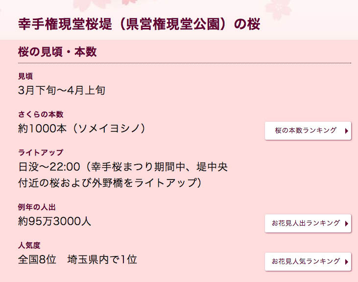 2025關東賞櫻景點 - 櫻花盛放！埼玉幸手權現堂櫻堤花見，春日必遊的浪漫櫻花勝地