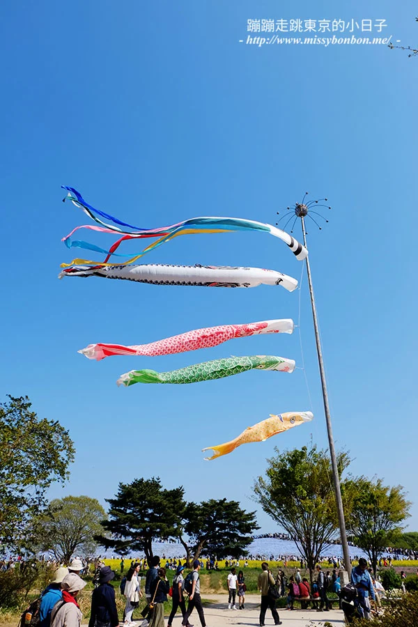 日本茨城縣國營常陸海濱公園的鯉魚旗