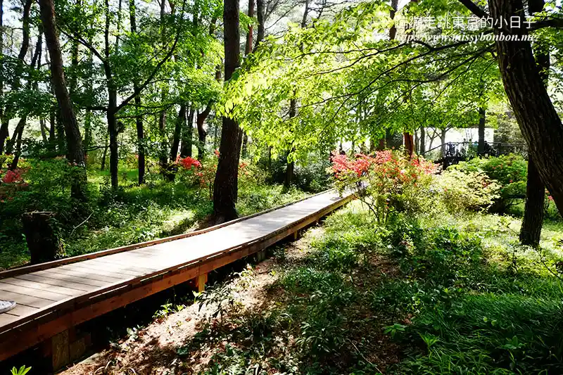 日本茨城縣國營常陸海濱公園的園區設施