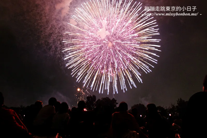 【東京花火大會推薦】板橋いたばし花火大会的精彩煙火