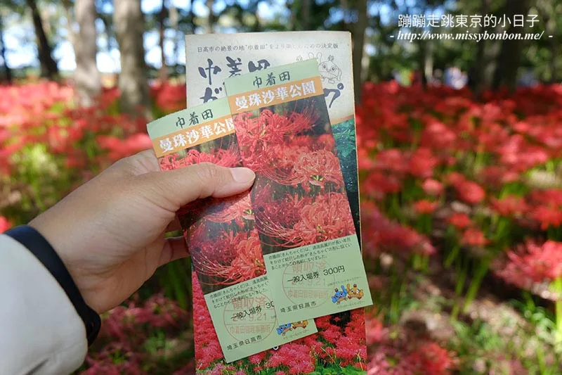 埼玉巾着田曼珠沙華(彼岸花)門票