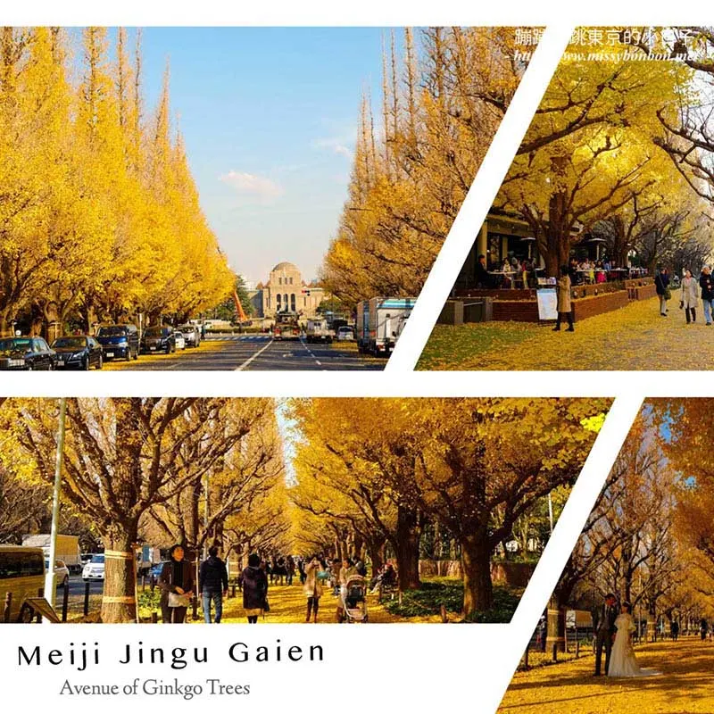 【東京秋季景點】深秋來東京追銀杏名所 - 明治神宮外苑