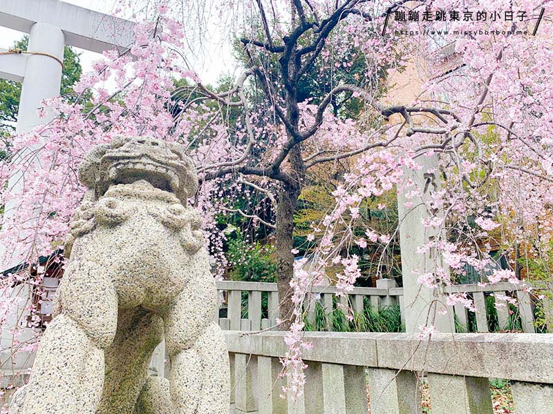 2024東京賞櫻景點：乃木坂的乃木神社，與浪漫夫婦御守共賞粉色櫻花美景