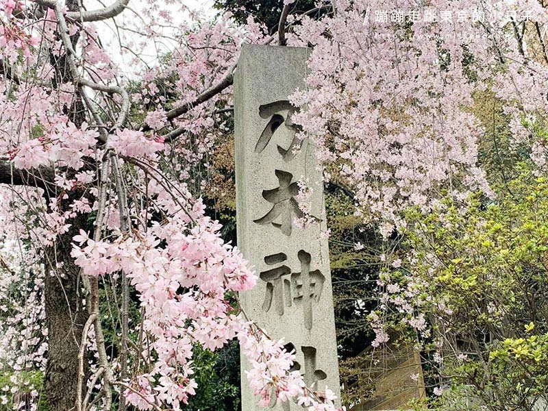 2024東京賞櫻景點:乃木坂的乃木神社,與浪漫夫婦御守共賞粉色櫻花美景