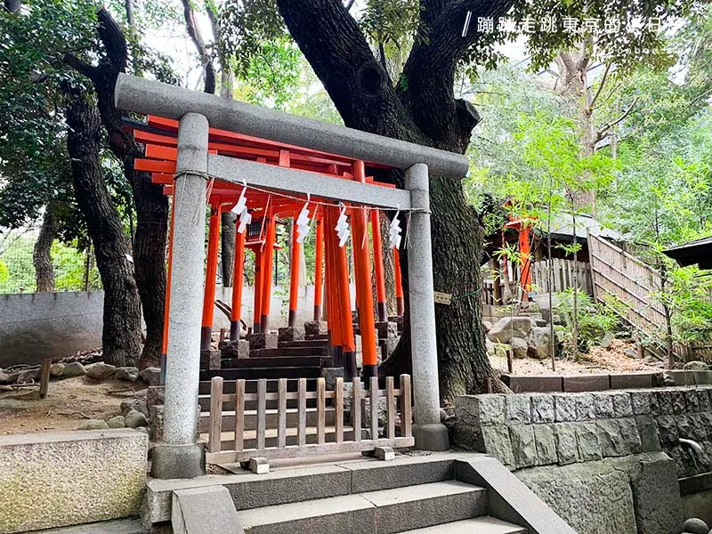 2024東京賞櫻景點:乃木坂的乃木神社,與浪漫夫婦御守共賞粉色櫻花美景