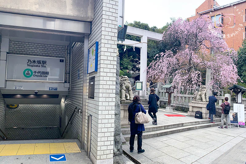 2024東京賞櫻景點：乃木坂的乃木神社，與浪漫夫婦御守共賞粉色櫻花美景