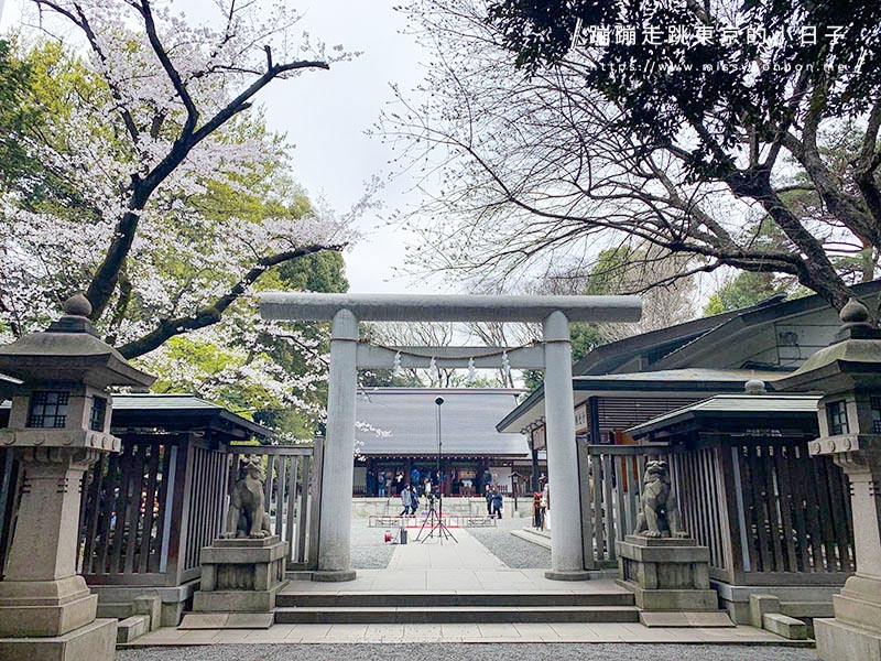 2024東京賞櫻景點：乃木坂的乃木神社，與浪漫夫婦御守共賞粉色櫻花美景