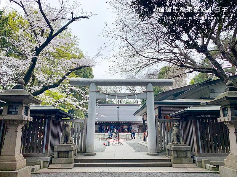 2024東京賞櫻景點:乃木坂的乃木神社,與浪漫夫婦御守共賞粉色櫻花美景