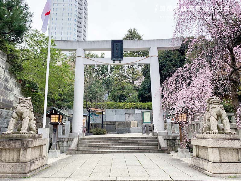 2024東京賞櫻景點：乃木坂的乃木神社，與浪漫夫婦御守共賞粉色櫻花美景