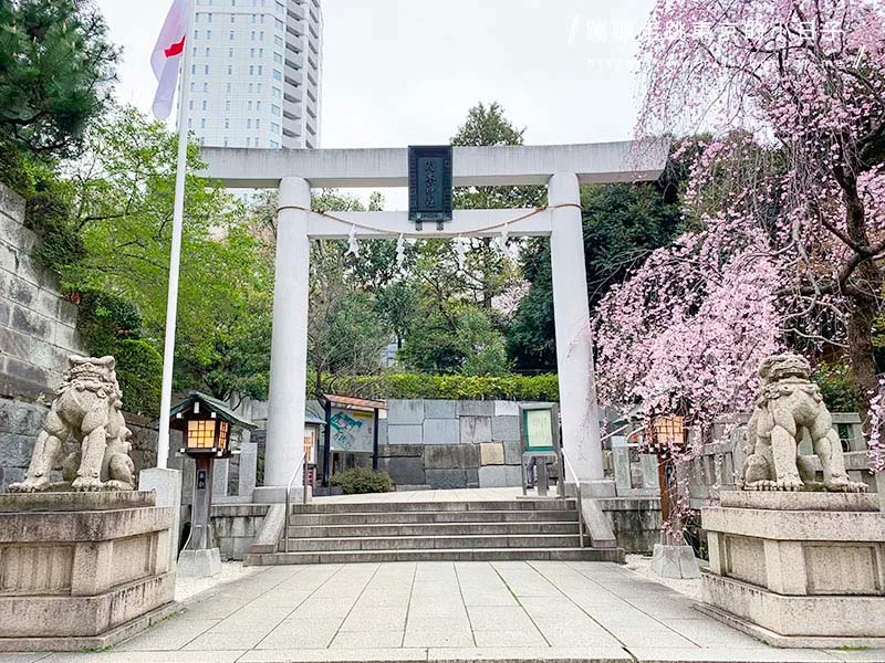 2024東京賞櫻景點:乃木坂的乃木神社,與浪漫夫婦御守共賞粉色櫻花美景