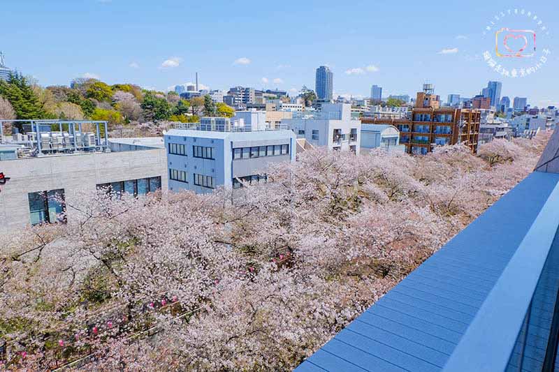 2025東京賞櫻景點 - 品春日晨光,體驗目黑川河畔的星巴克臻選® 東京烘焙工坊的獨特風情