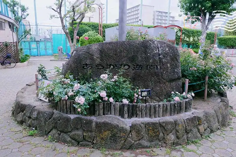 都電荒川線荒川遊園地前玫瑰