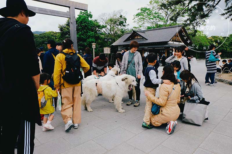 東京前往伊勢神宮參拜 - 伊勢神宮內宮參拜入口風景