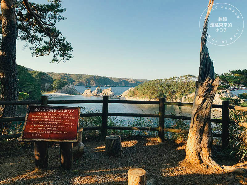 岩手・宮古市旅遊指南 - 尋著宮澤賢治的腳步，探訪「淨土之濱」震撼心靈的遺世美景(交通路線)